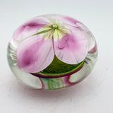 Clematis Montana Paperweight