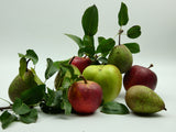 Orchard Vase ii
