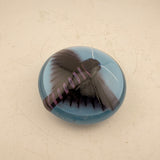 Privit Hawk-moth Paperweight