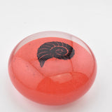 Red and Black "Ammonite" Paperweight i