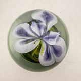 Orchid Paperweight iii