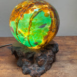 Dartmoor Table Lamp on Burr Elm Base