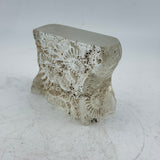 Small Ammonite Obelisk Casting (second) ii