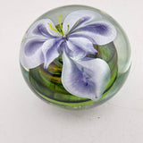 Orchid Paperweight iii
