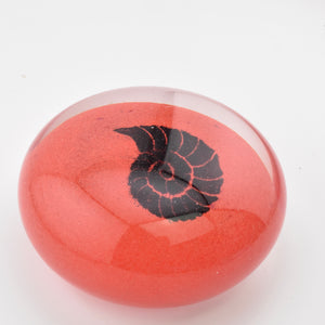 Red and Black "Ammonite" Paperweight i