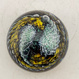 Restricted Palette Day Paperweight