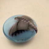Privit Hawk-moth Paperweight