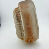 Very Large Ammonite  Casting (second)