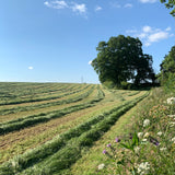 "Hay Field and Hedge" Oval Flask ii