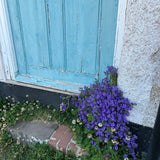 “A Friendly Door" Oval Vase
