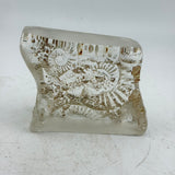 Small Ammonite Obelisk Casting (second) ii
