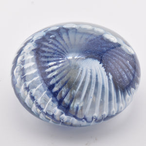 Navy and White "Ammonite" and Bubbles Paperweight iv