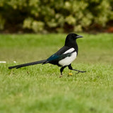 “Magpie” Glass Bead and Silver Necklace i 46cm