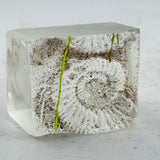 Small Ammonite Obelisk Casting (second)