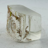 Small Ammonite Obelisk Casting (second)