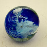 Blues and Whites “demo” Paperweight i