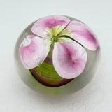Clematis Montana Paperweight