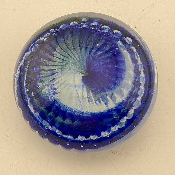 Blue and White “Ammonite