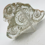 Sand cast Ammonite Sculpture ii