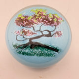 Sakura (cherry blossom) Paperweight i