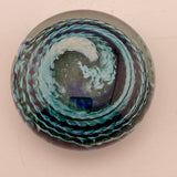 Teal and White "Ammonite" and Bubbles Paperweight iii