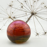 Coral Sky (with Seed Heads) Paperweight