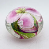 Clematis Montana Paperweight