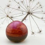 Coral Sky (with Seed Heads) Paperweight