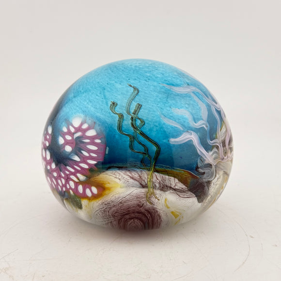 “Octopus Journey”  Paperweight