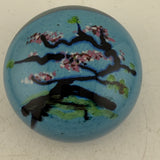 Sakura (cherry blossom) Paperweight ii
