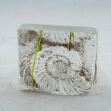 Small Ammonite Obelisk Casting (second)