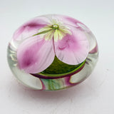 Clematis Montana Paperweight