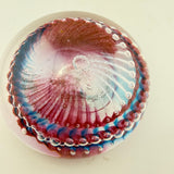 Pink, Turquoise and White Ammonite" and Bubbles Paperweight xii