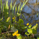 Yellow, Blue and Green “Riverbank”  Posy Vase
