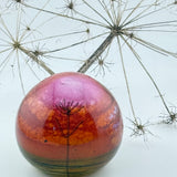 Coral Sky (with Seed Heads) Paperweight
