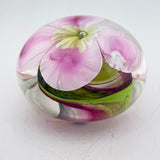 Clematis Montana Paperweight