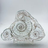 Sand cast Ammonite Sculpture