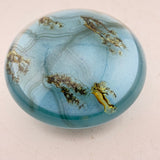 Salix Catkins Paperweight ii