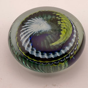 Green, Blue and White "Ammonite" and Bubbles Paperweight viii