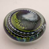 Green, Blue and White "Ammonite" and Bubbles Paperweight viii