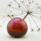 Coral Sky (with Seed Heads) Paperweight