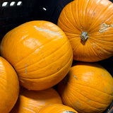 Pumpkin Jar (with Blown Lid)