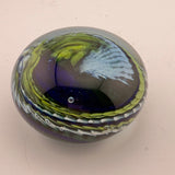 Green, Blue, Pale Blue and White "Ammonite" and Bubbles Paperweight ix