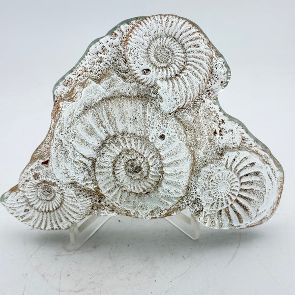 Sand cast Ammonite Sculpture ii