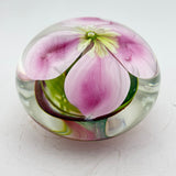 Clematis Montana Paperweight