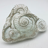 Sand cast Ammonite Sculpture