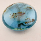 Salix Catkins Paperweight ii
