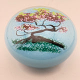 Sakura (cherry blossom) Paperweight i