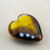 Clown Trigger Fish Black and Yellow  Heart