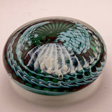 Teal, Pale Blue and White "Ammonite" and Bubbles Paperweight iv